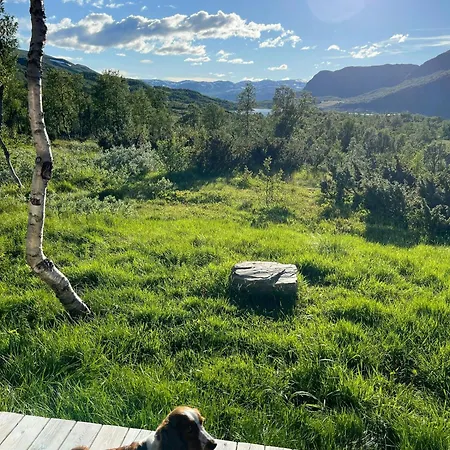 Panorama By Kongeveien Near Jotunheimen Feriehus *