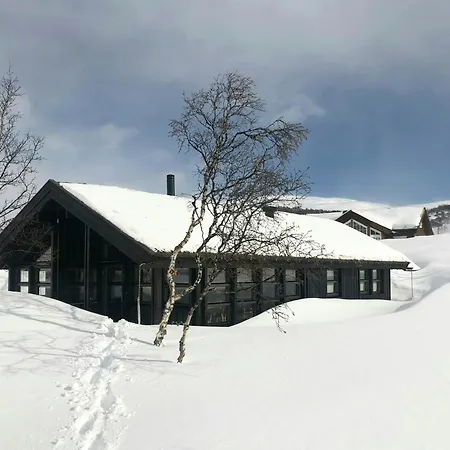 Panorama By Kongeveien Near Jotunheimen Feriehus