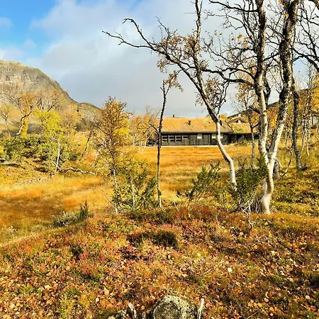 Panorama By Kongeveien Near Jotunheimen