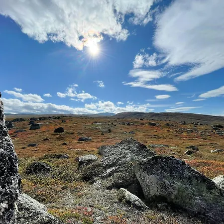 Panorama By Kongeveien Near Jotunheimen Tyinkrysset